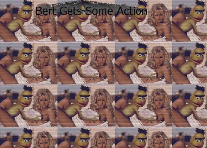 Bert Gets Some Action!