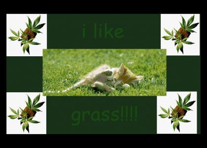 i like grass