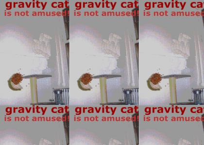 Gravity Cat Can't hold on!
