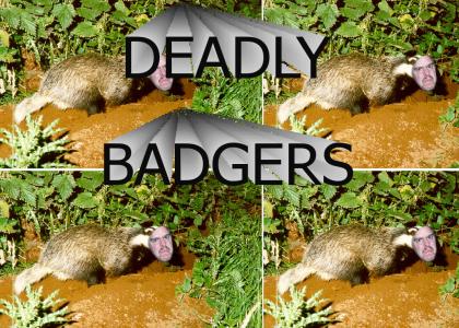 DEADLY BADGERS