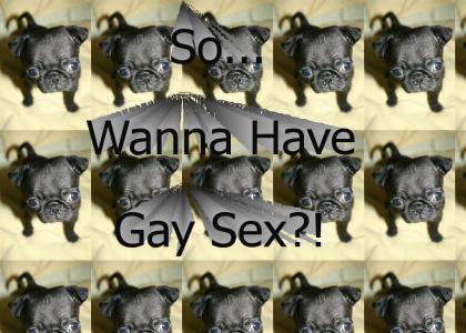 Gay Sex?!