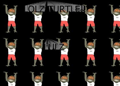 The lolz turtle