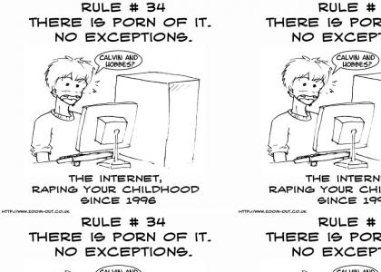 Rule #34 of the internet