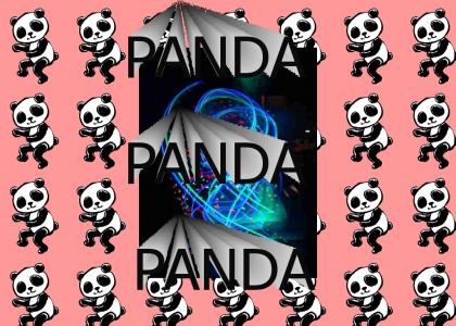 PANDA!!!