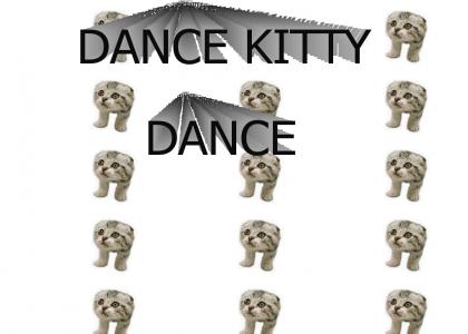 DANCE KITTY DANCE