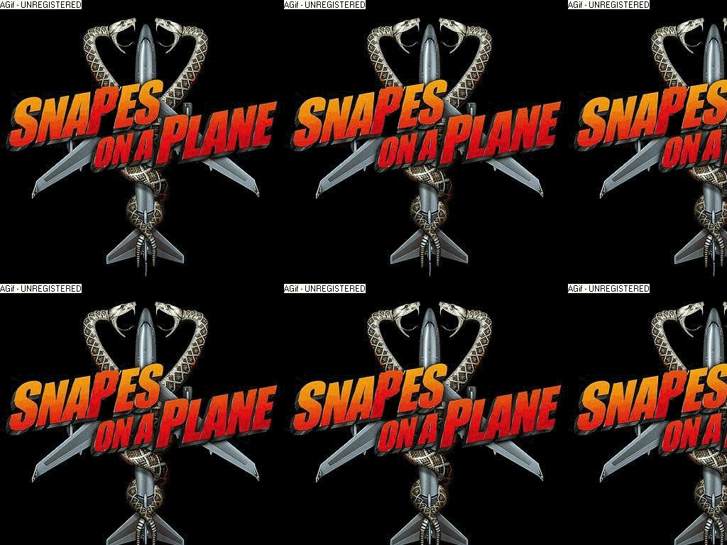 snapessssssssonaplane