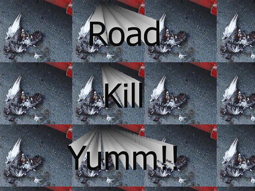 roadkillpigeon