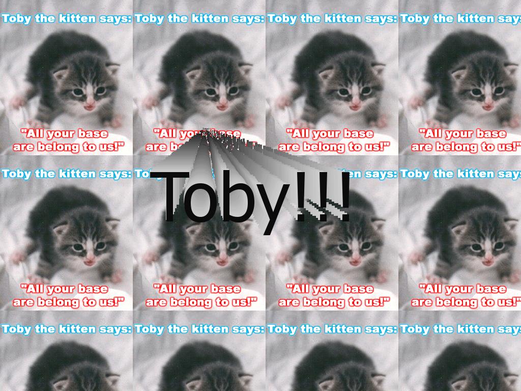 tobybase