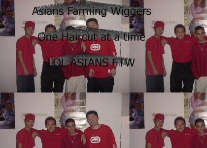 Farming Asians 1 Wigger at a time