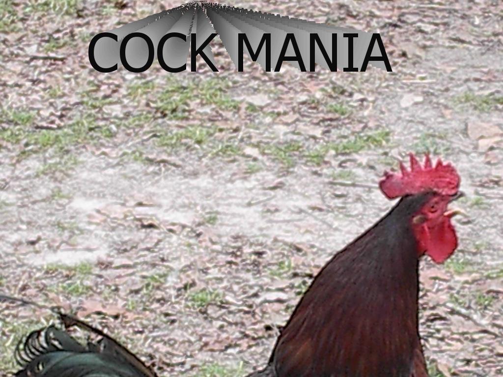 COCKMANIA