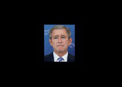 Bush doesn't change facial expressions (Refresh)