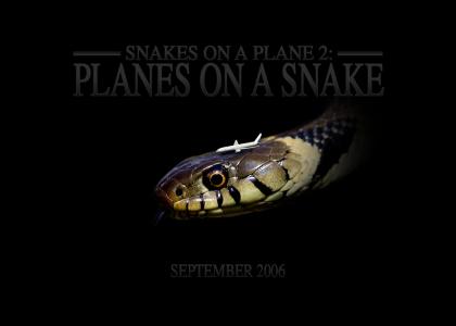 Planes on a snake!
