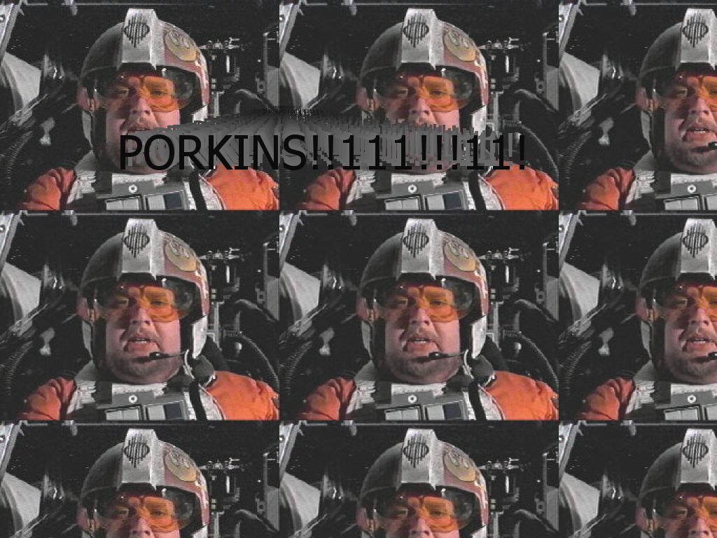 YTMNPORKINS