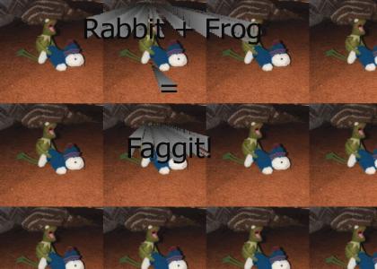 Frog +rabbit =...