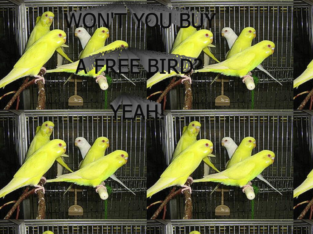 wontyoubuyafreebird