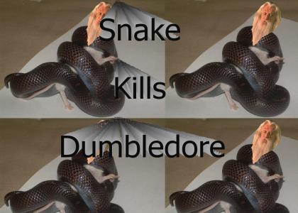snake kills dumbledore