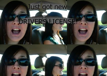 loldriverslicense