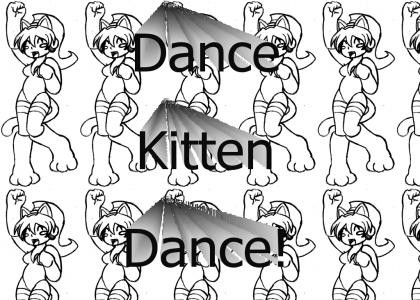 Dance kitten dance!