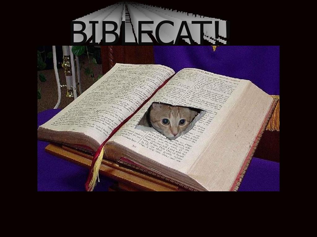 biblecat