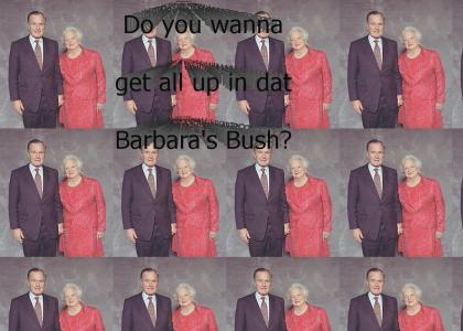 Barbara's Bush