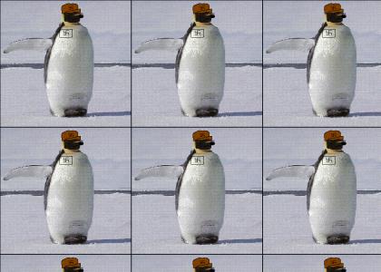 Penguins are taking over 8