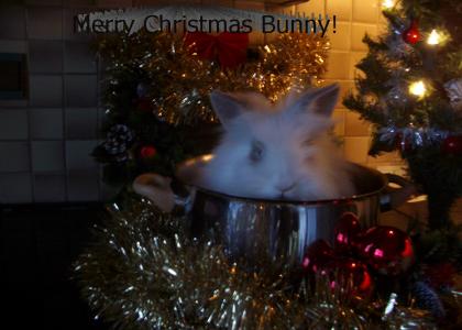 Merry Christmas Bunny