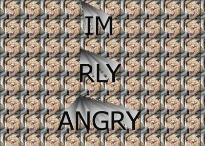 IM REALLY ANGRY LOL {ZAMM Productions}