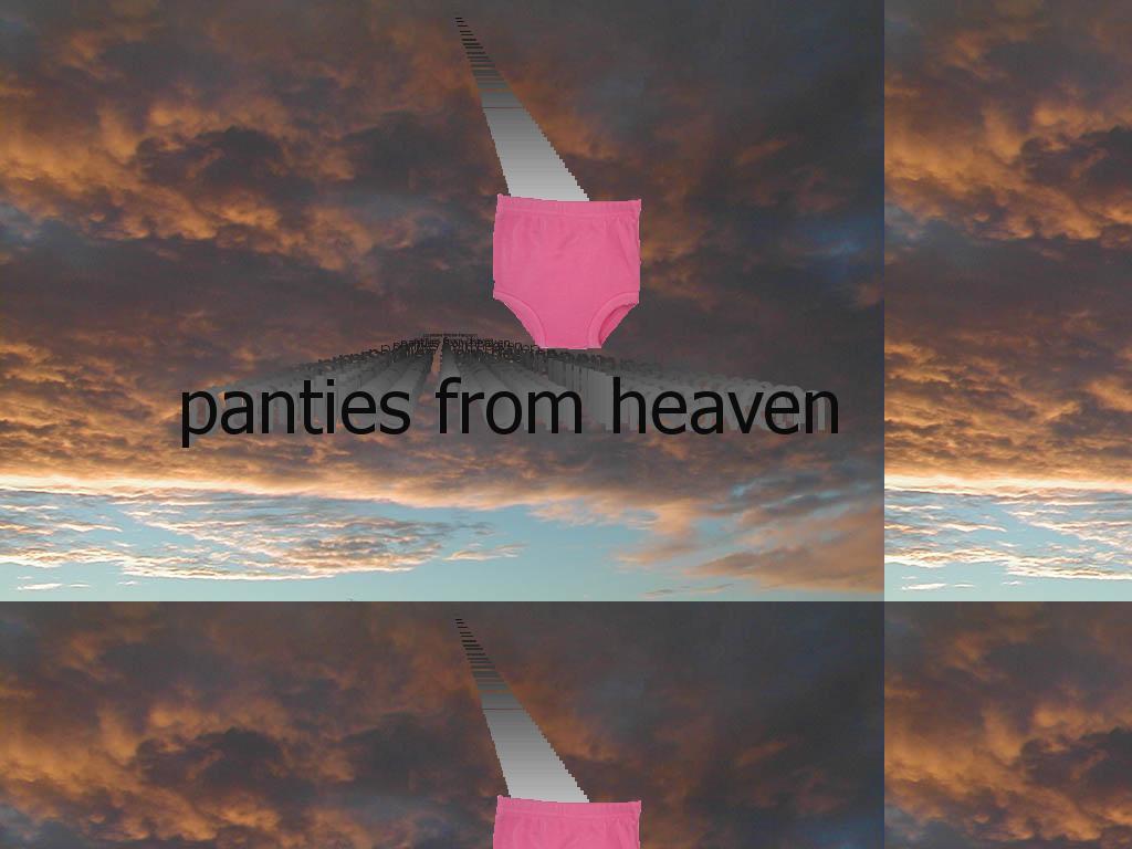 pantiesfromheaven