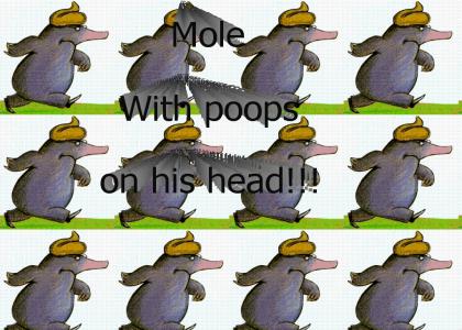 Mole with poop on head