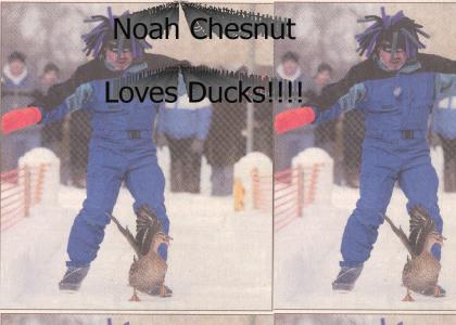 Noah Chesnut Loves Ducks!!!!