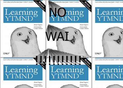 Learning YTMND, O RLY?