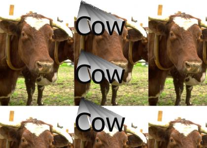Cow Cow Cow