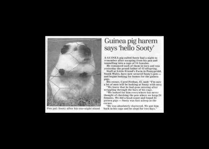 Sooty's Night out