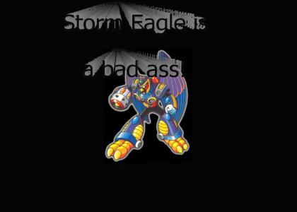 Storm Eagle is Metal