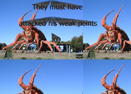 Giant Enemy Crab: Now On Display XD
