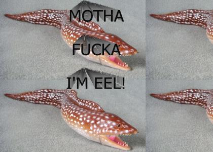 Mother fucker, I'm Eel