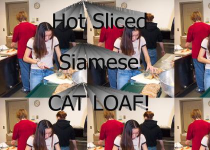 Asians love Cat Loaf!