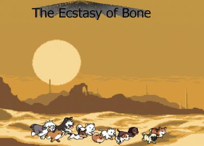The Ecstasy of Bone