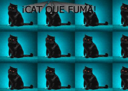 El gato que fuma