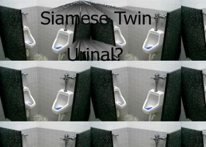 Siamese Urinal