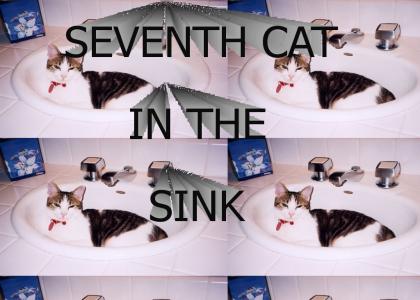 SEVENTH CAT IN THE SINK