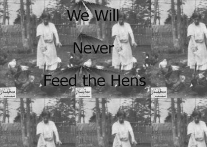 feed the hens