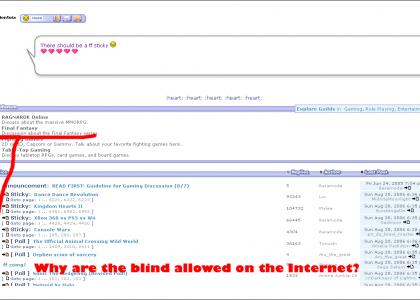 Why are the blind allowed on the Internet?