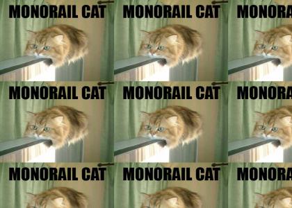 MONORAIL CAT