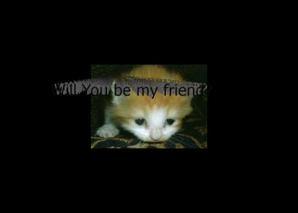 Sad Cat Has No Friends... :'(