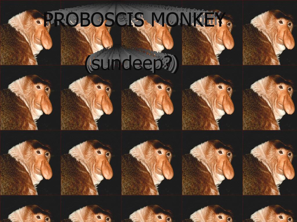 proboscismonkey