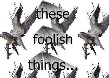 these foolish things...