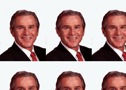 George Bush Brain