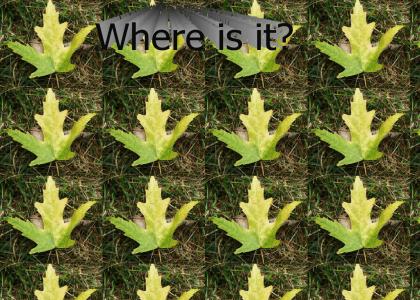 Where's the leaf?
