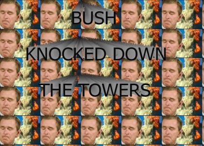 BUSH KNOCKED DOWN THE TOWERS